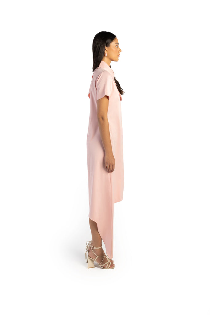 Swallow Shirt Dress Shirt Dress mamzi 